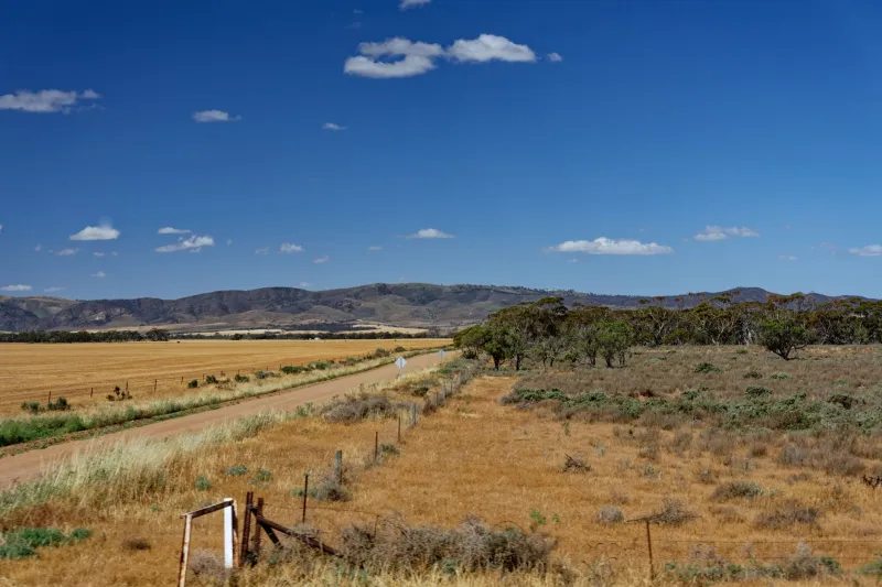 Wide Open Spaces, Wide Open Options: How Country Aussies Are Closing the Casino Gap Online